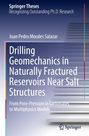 Juan Pedro Morales Salazar: Drilling Geomechanics in Naturally Fractured Reservoirs Near Salt Structures, Buch