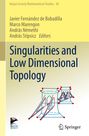 : Singularities and Low Dimensional Topology, Buch