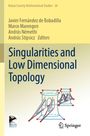 Singularities and Low Dimensional Topology, Buch