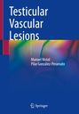 Pilar González-Peramato: Testicular Vascular Lesions, Buch