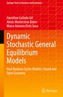 Hamilton Galindo Gil: Dynamic Stochastic General Equilibrium Models, Buch