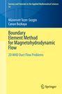 Canan Bozkaya: Boundary Element Method for Magnetohydrodynamic Flow, Buch
