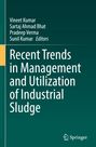 : Recent Trends in Management and Utilization of Industrial Sludge, Buch