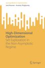 Anatoly Zhigljavsky: High-Dimensional Optimization, Buch