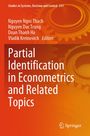 : Partial Identification in Econometrics and Related Topics, Buch