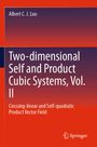 Albert C. J. Luo: Two-dimensional Self and Product Cubic Systems, Vol. II, Buch