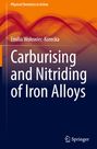 Emilia Wo¿owiec-Korecka: Carburising and Nitriding of Iron Alloys, Buch