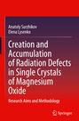 Elena Lysenko: Creation and Accumulation of Radiation Defects in Single Crystals of Magnesium Oxide, Buch
