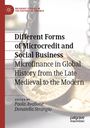 : Different Forms of Microcredit and Social Business, Buch