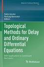 Topological Methods for Delay and Ordinary Differential Equations, Buch