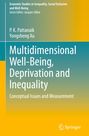 Yongsheng Xu: Multidimensional Well-Being, Deprivation and Inequality, Buch