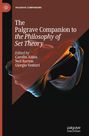 : The Palgrave Companion to the Philosophy of Set Theory, Buch