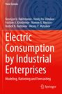 Ikromjon U. Rakhmonov: Electric Consumption by Industrial Enterprises, Buch
