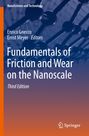 Fundamentals of Friction and Wear on the Nanoscale, Buch