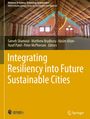 : Integrating Resiliency into Future Sustainable Cities, Buch