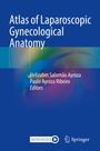 "Atlas of Laparoscopic Gynecological Anatomy" steht auf einem blauen Hintergrund. Darunter die Namen der Editoren.