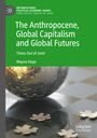 Wayne Hope: The Anthropocene, Global Capitalism and Global Futures, Buch