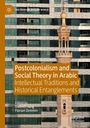 : Postcolonialism and Social Theory in Arabic, Buch