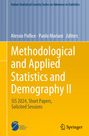 : Methodological and Applied Statistics and Demography II, Buch