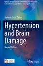 : Hypertension and Brain Damage, Buch