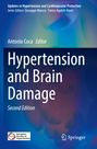 Hypertension and Brain Damage, Buch