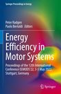 "Energy Efficiency in Motor Systems" von Peter Radgen, Paolo Bertoldi, auf buntem Hintergrund; Springer Logo unten.
