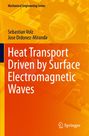 Sebastian Volz: Heat Transport Driven by Surface Electromagnetic Waves, Buch
