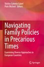 : Navigating Family Policies in Precarious Times, Buch