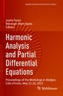 Buchtitel "Harmonic Analysis and Partial Differential Equations", rote Farbtöne, abstraktes Muster im Hintergrund.