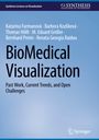 Katarína Furmanová: BioMedical Visualization, Buch