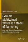 Shamil Usmanovich Galiev: Extreme Multivalued Waves as a Model of Everything, Buch