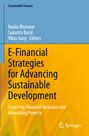 „E-Financial Strategies for Advancing Sustainable Development“. Titel auf blau-gelbem Hintergrund mit Springer-Logo.