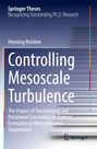 Henning Reinken: Controlling Mesoscale Turbulence, Buch