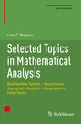 Liviu C. Florescu: Selected Topics in Mathematical Analysis, Buch
