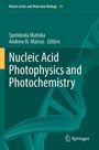 Nucleic Acid Photophysics and Photochemistry, Buch