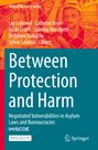 Between Protection and Harm, Buch