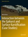 Ein Buchcover mit dem Titel "Interaction between the Epikarst and Surface Karstification (Case Studies)". Illustration eines Karstlandschaftsquerschnitts.