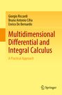 Giorgio Riccardi: Multidimensional Differential and Integral Calculus, Buch