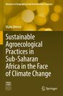 „Sustainable Agroecological Practices in Sub-Saharan Africa in the Face of Climate Change“. Gelber Hintergrund mit unscharfen Lichtpunkten.