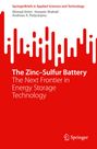 Ahmad Amiri: The Zinc¿Sulfur Battery, Buch