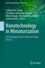 : Nanotechnology in Miniaturization, Buch