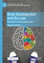 Stephan Schleim: Brain Development and the Law, Buch