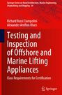 Richard Rossi Ciampolini: Testing and Inspection of Offshore and Marine Lifting Appliances, Buch