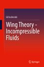 Gil Iosilevskii: Wing Theory-Incompressible Fluids, Buch