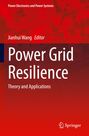 Power Grid Resilience, Buch