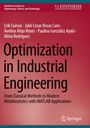 Titel: "Optimization in Industrial Engineering." Autoren: Erik Cuevas, Julio Cesar Rosas Caro und andere. Verlag: Springer.
