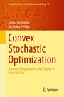 Ari-Pekka Perkkiö: Convex Stochastic Optimization, Buch