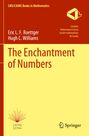 Eric L. F. Roettger: The Enchantment of Numbers, Buch