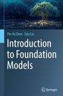Sijia Liu: Introduction to Foundation Models, Buch