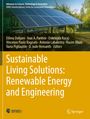 Sustainable Living Solutions: Renewable Energy and Engineering, Buch